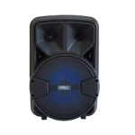PARLANTE 8'' - MOD FS-802 - CANCUN - Imagen 2