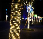 TIRA DE LUCES PARA EXTERIOR 10 MTS USB MODV-003I - VARIOS - RGB - Imagen 2