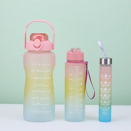 BOTELLA SET X 3 MODX 233 - XAEA - ROSA